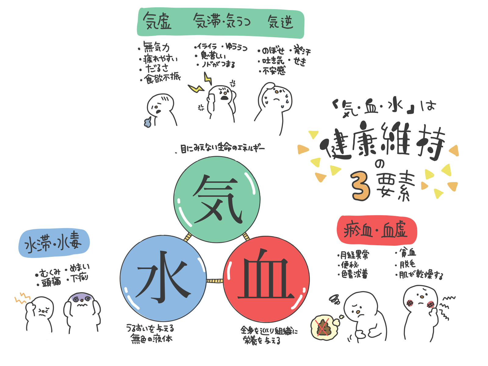 体質検査